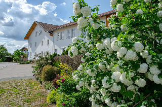 Hotel-Gasthof Altmann in Eschlkam