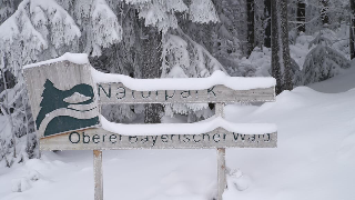 Hotel-Gasthof-Fellner in Furth im Wald