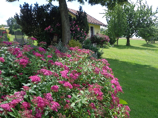 Ferienhof Feiner in Furth im Wald