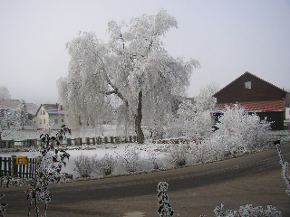 Zur Waldesruh in Waffenbrunn