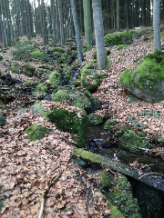 Zur Waldesruh in Waffenbrunn