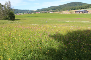 Zur Waldesruh in Waffenbrunn