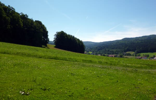 Feriendorf Ulrichsgrün – Familie Wutz in Waldmünchen