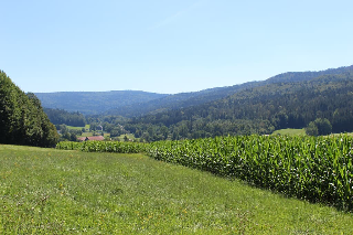 Villa Weitblick in Waldmünchen