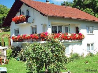 Ferienwohnung Pinker in Grafenau