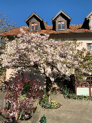 Landhaus Lehhof in Traitsching