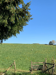 Landhaus Lehhof in Traitsching