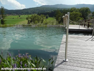 Gasthof Zum Wirt / Ferienwohnung Hohenbogenblick in Neukirchen b.hl.Blut