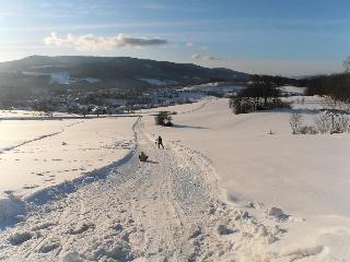 Wellness-Ferienwohnungen Zellertalblick in Drachselsried