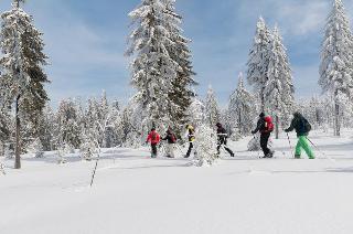 Wellness-Ferienwohnungen Zellertalblick in Drachselsried