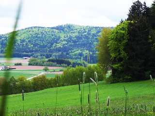 Ferienwohnung Huglbauer in Waldmünchen