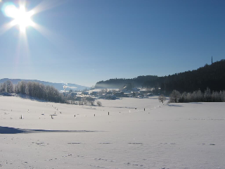 Ferienwohnung Huglbauer in Waldmünchen