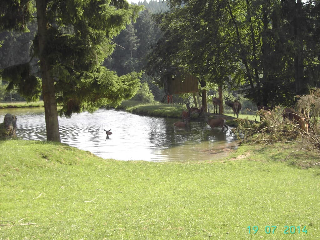 Ferienwohnung Huglbauer in Waldmünchen