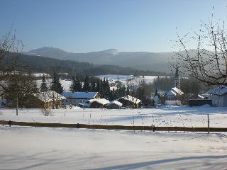 Ferienwohnungen Winter in Lohberg