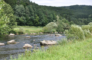 Ferienwohnung Regentalblick in Miltach