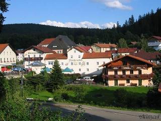 Fischerwirt - Hotel Grenzwald in Bayerisch Eisenstein