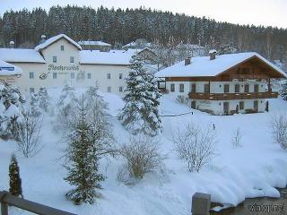 Fischerwirt - Hotel Grenzwald in Bayerisch Eisenstein