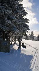 Bio-, Naturland- und Erlebnisbauernhof Beim Angerbauer in Sankt Englmar