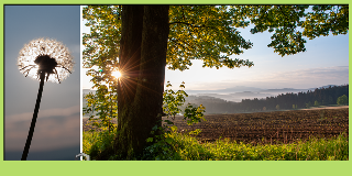 Pension zum Dorfschmied in Langdorf