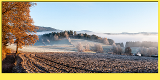 Pension zum Dorfschmied in Langdorf