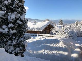 Blockhäuser & Chalets Bayerischer Wald  in Bad Kötzting