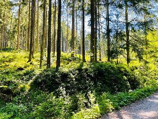 Appartement zum Hirsch'n in Waldkirchen