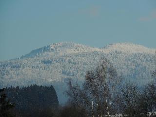 FW Zauberblick in Zwiesel