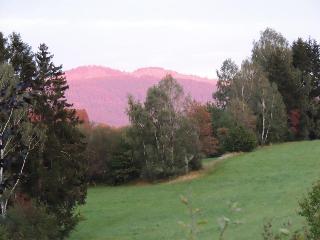 FW Zauberblick in Zwiesel