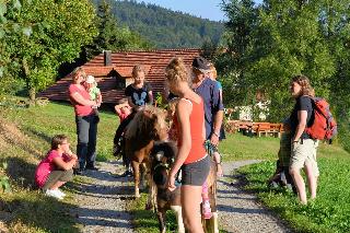 Freizeit- und Erlebnishof Schötz in Haibach-Elisabethszell